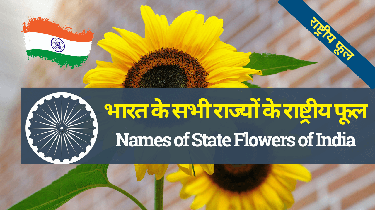 List of State Wise Names of State Flowers